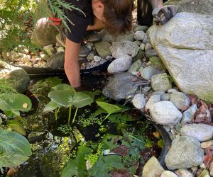 Pflege für den garten, die Gärtnerin