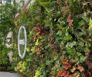 Die Gärtnerin, Dachterrassen Begrünung